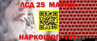 индика Мариинск