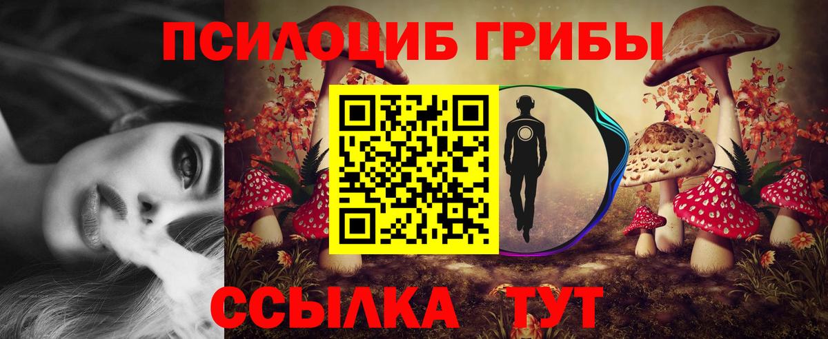 Псилоцибиновые грибы MAGIC MUSHROOMS Тверь